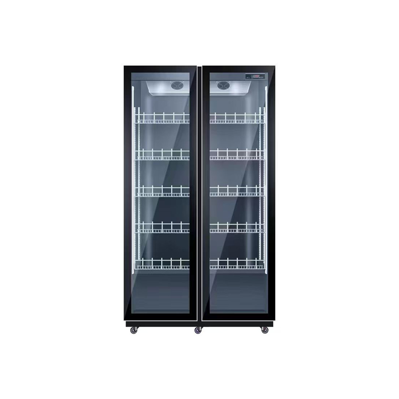 Frigorifero con raffreddamento - Wine Beer Dual Zone recensione e prezzo